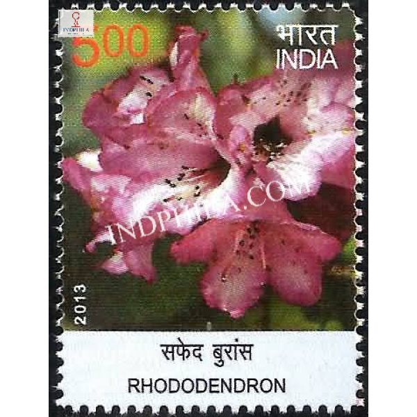 India 2013 Wild Flowers Rhododendron Mnh Single Stamp