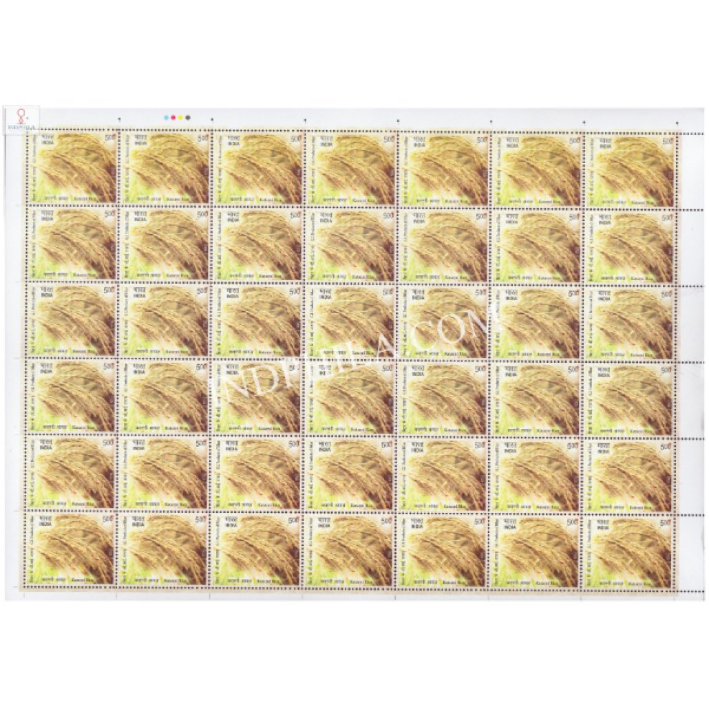 Katarni Rice Field View India 2025 GI Products of Bihar Katarni Rice MNH FULL SHEET 42 Stamps ...