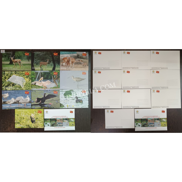 Commemorating Earth Day with the Beauty of Our Wildlife 10 Picture Postcards