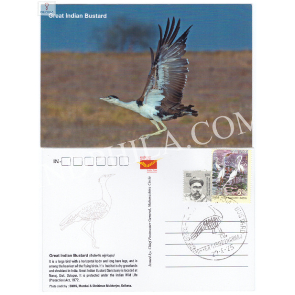 Inaugural Day Permanent Pictorial Cancellation of Great Indian Bustard 2025 Picture Postcard 1