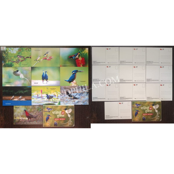 Picture Postcard of Birds World Set of 10 Cards